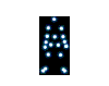 kungfu-01-june.gif